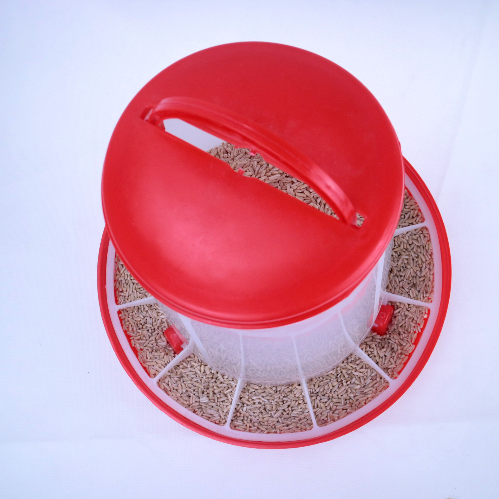 1.5 Kg PP Material Poultry Manual Feeder Chicken Poultry Farms
