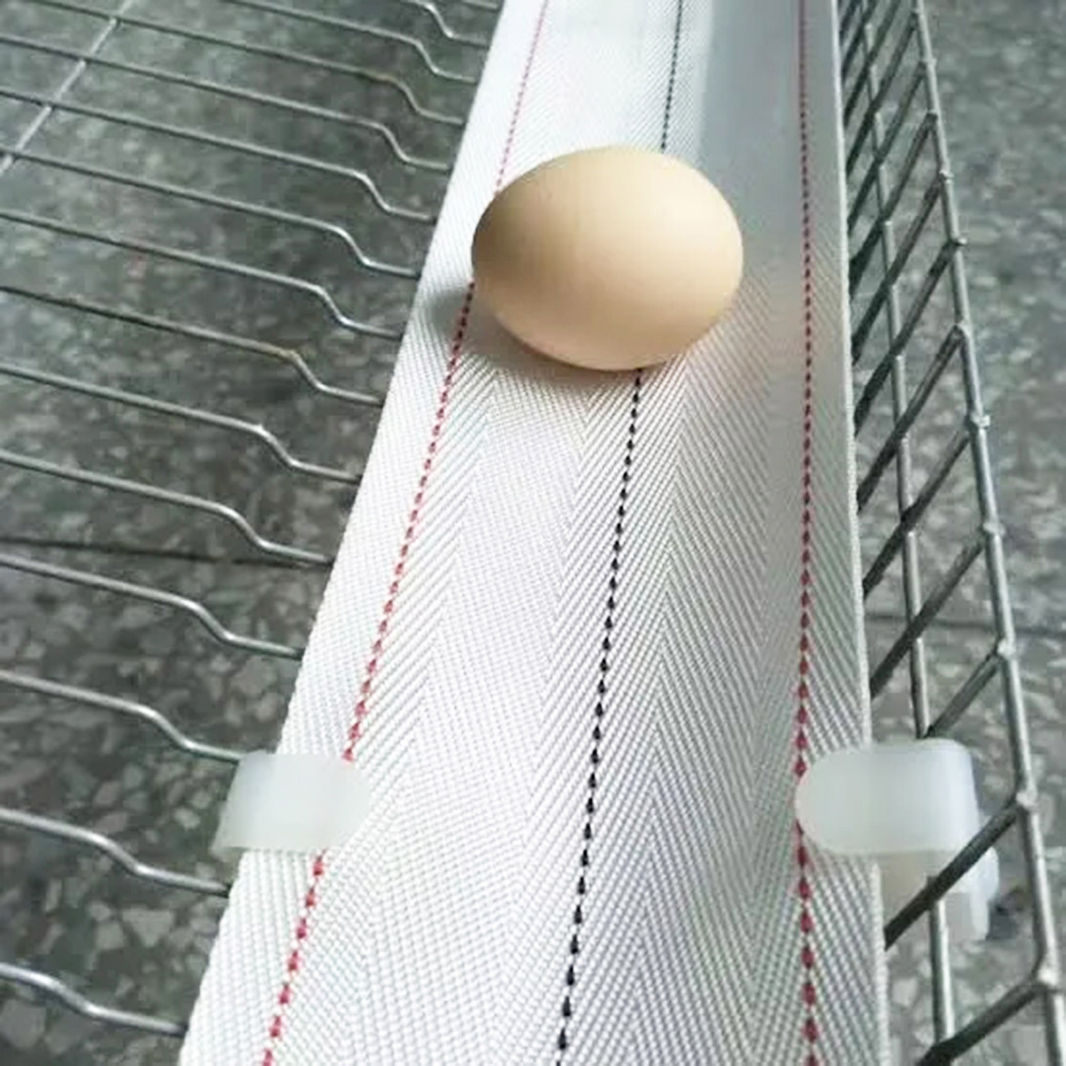 PP Material High Quality Factory Direct Sell 100-400mm White Egg Collecting Belts Conveyor For Poultry Farm