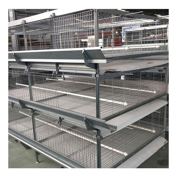 Automatic Battery Cage Systems (H-Type, 4-Tier, with automated egg collection)