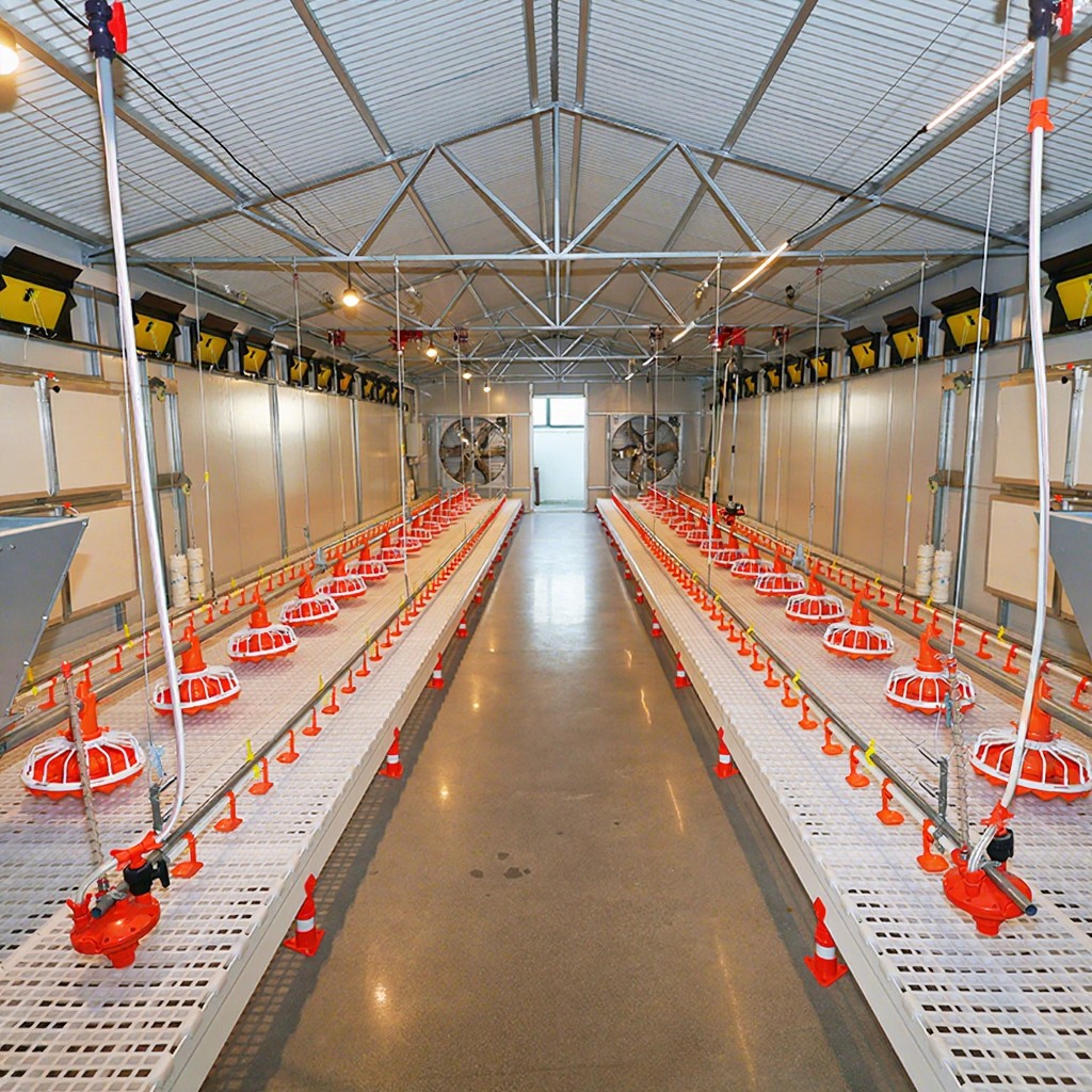 Automated Chain Feeding Lines (Precision hoppers & anti-waste troughs)