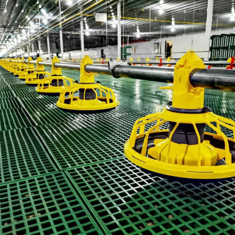 Automatic Feeding Line System