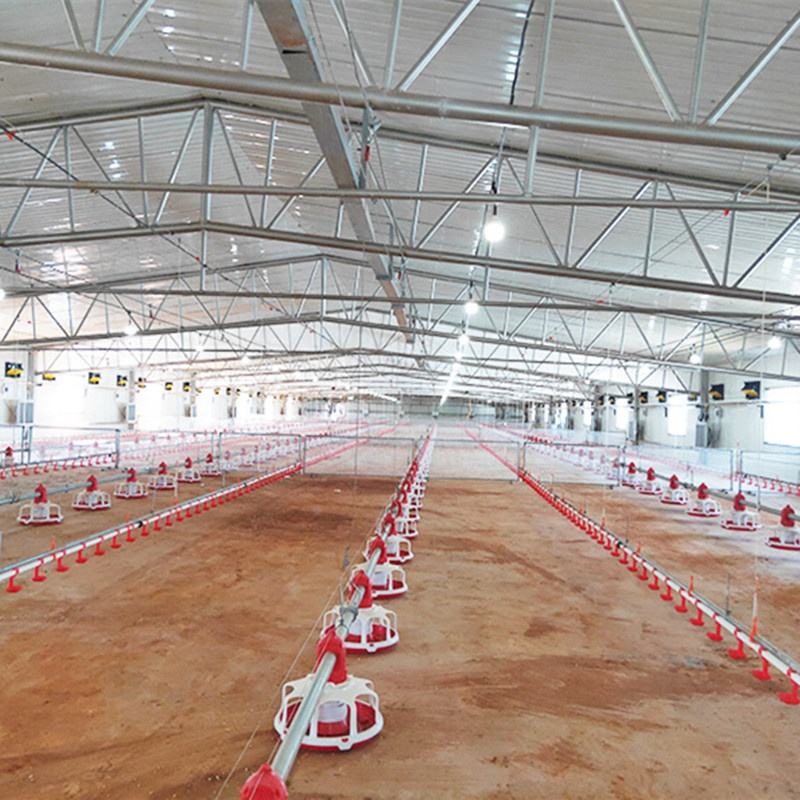 Automatic Floor Feeding Line Unit