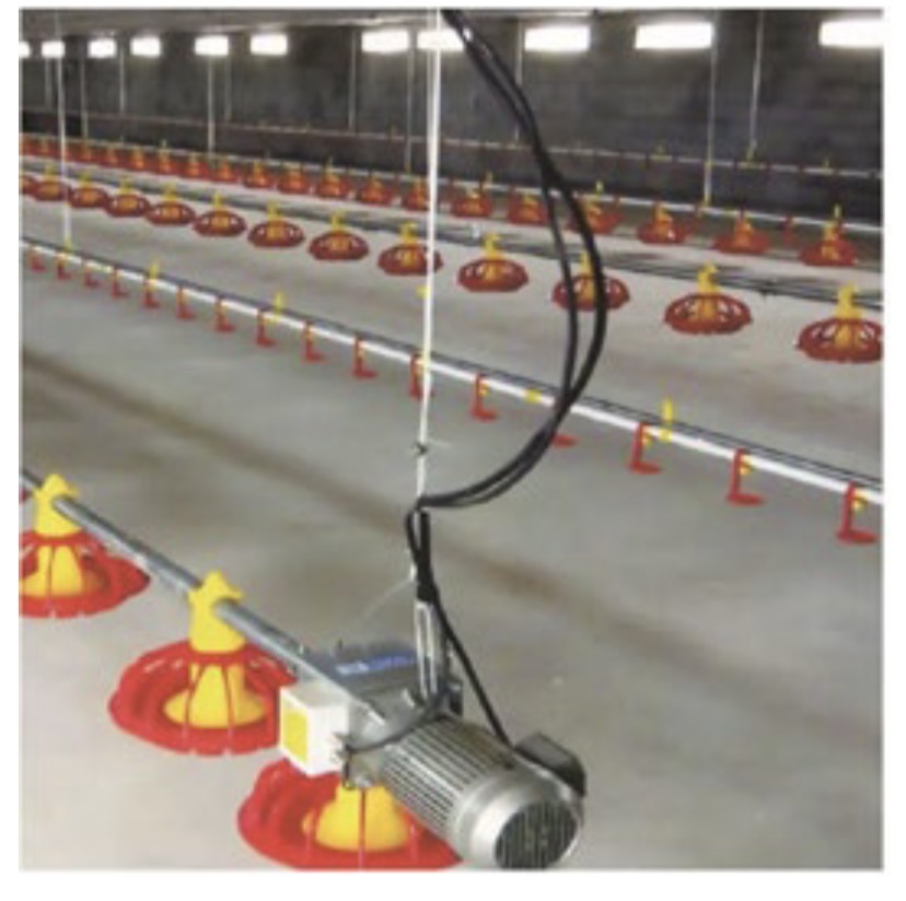 Automated Floor Feeding Pan (Industrial)